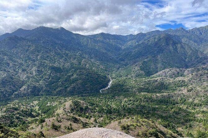 1 Day Shiratani Unsuikyo Adventure - Exploring the 1 Day Shiratani Unsuikyo Adventure: A Natural Journey through Yakushima’s Mystical Forests