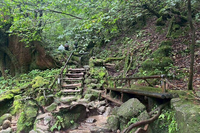 1 Day Shiratani Unsuikyo Adventure - Who Is This Tour Best For?