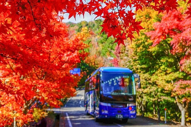 1-day-shodoshima-island-bus-tour