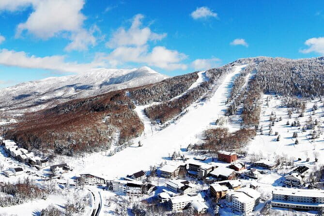 1 Day Ski Tour Package Easy Departure from Nagano Station - An In-Depth Look at the Itinerary