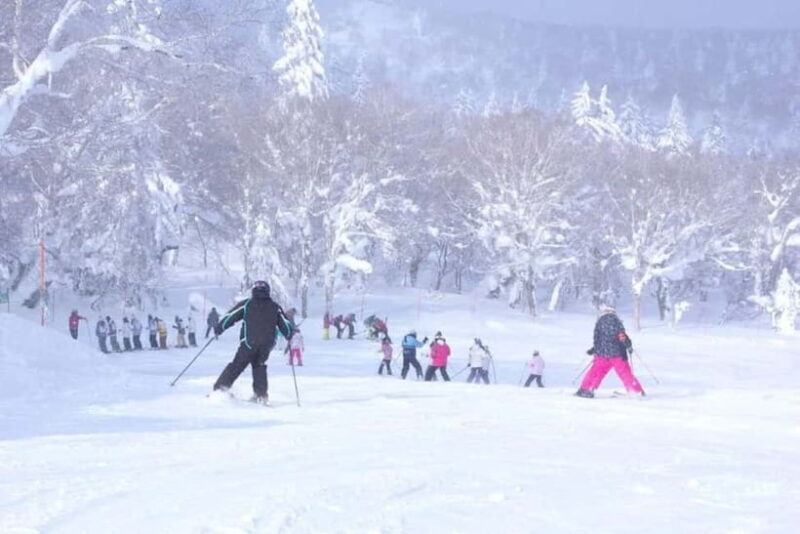 1-Day Ski Tour Package from Sapporo Station - Who Should Consider This Tour?