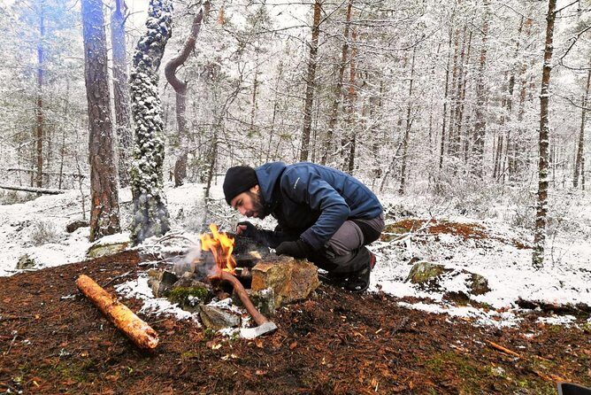 1-Day Small-Group Stockholm Nature Hiking - A Closer Look at the Experience