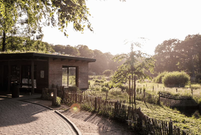 1-day-ticket-for-schwerin-zoo