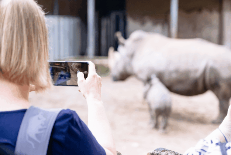 1-day-ticket-for-schwerin-zoo