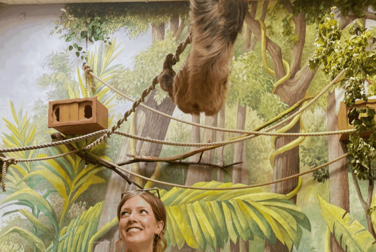 1-day-ticket-for-schwerin-zoo