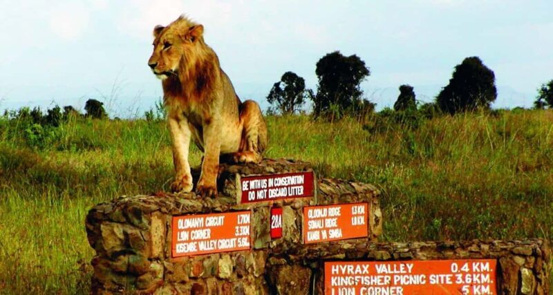 1 DAY TO NAIROBI NATIONAL PARK - Who Is This Tour Best For?