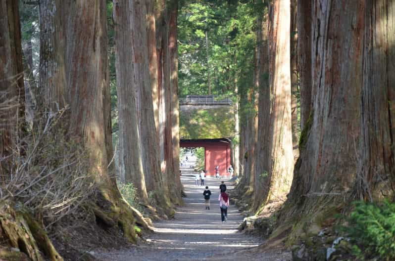 1-day-togakushi-soba-making-ninja-town-and-hidden-shrines