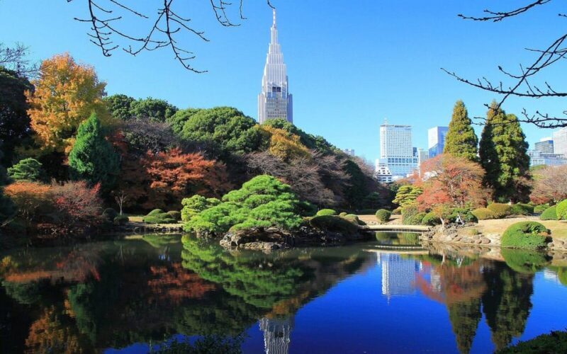 1-Day Tokyo Essence: Temples, Towers & Tradition Tour - Who Would Benefit Most from This Tour?