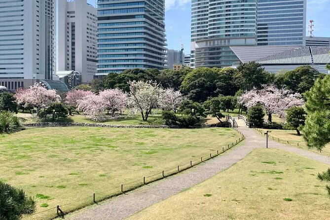 1-day-tokyo-private-bus-tours-license-guide-sweets-matcha-set