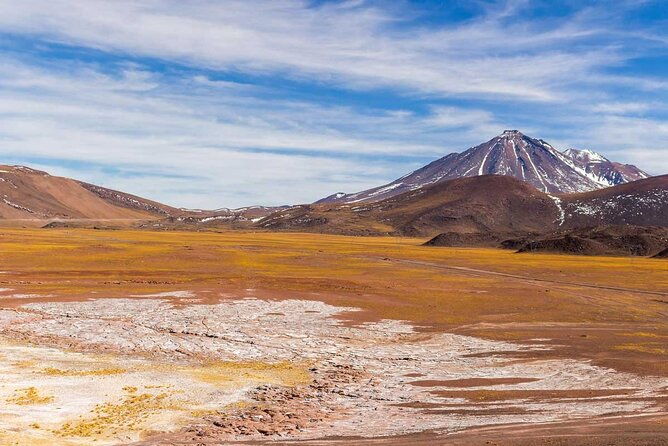 1-day-tour-altiplanic-lagoons-and-piedras-rojas-and-laguna-chaxa