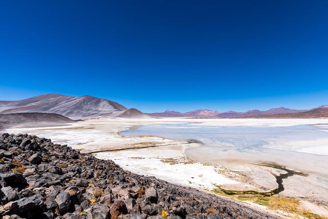 1-day-tour-altiplanic-lagoons-and-piedras-rojas-and-laguna-chaxa