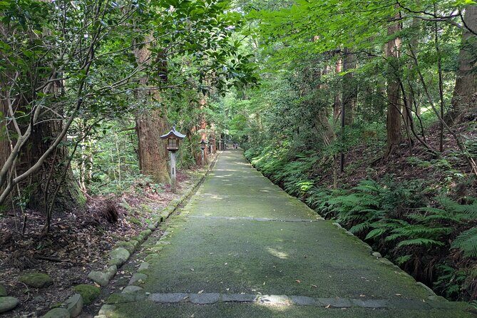 1 Day Tour from Kanazawa Tedori Gorge White Road and Shirakawa Go - The Itinerary in Detail: What You Can Expect