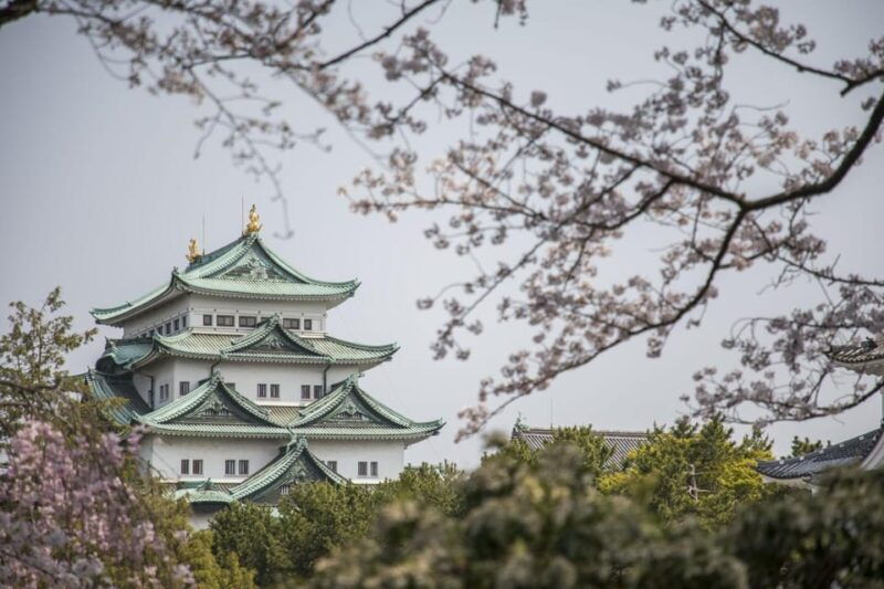 1-day-tour-nagoya-castle-gardens-historic-estate