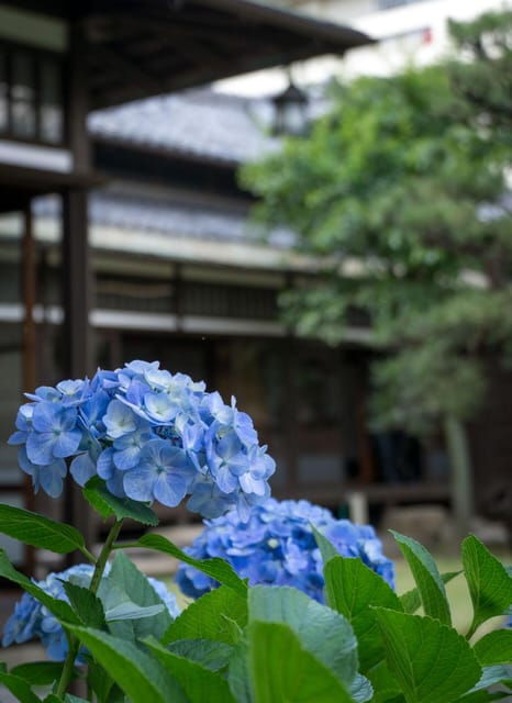 1-day-tour-nagoya-castle-gardens-historic-estate
