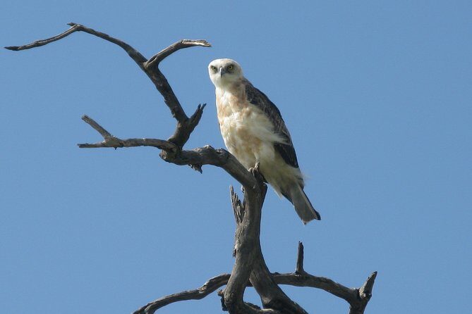 1 Day tour of Lake Nakuru National Park - Final Thoughts