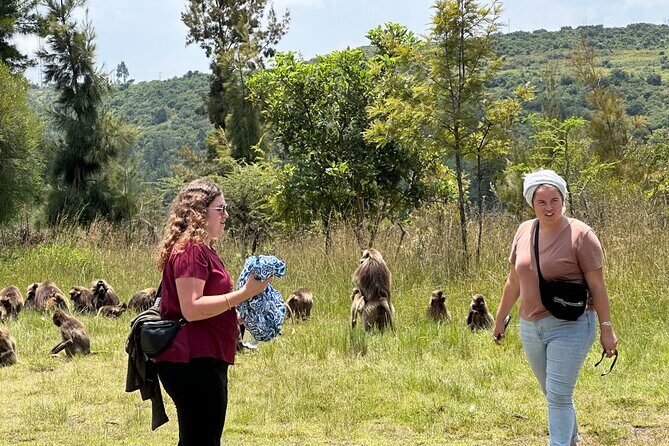 1-Day Tour Old bridge, Monastery,water falls Wildlife,Birds, - Key Points