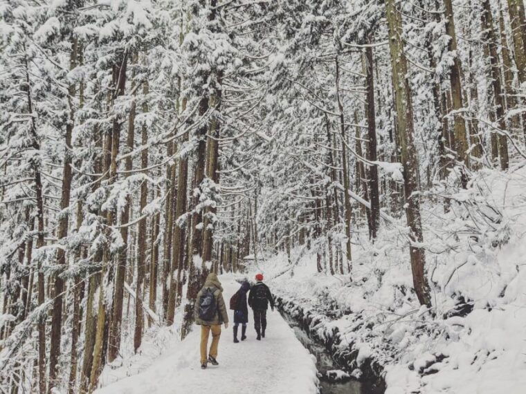 1-day-tour-snow-monkeys-snow-fun-in-shiga-kogen
