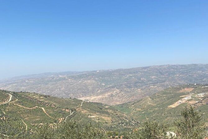 1 Day Tour to Amman Jerash and Ajloun castle - Why This Tour Works for You