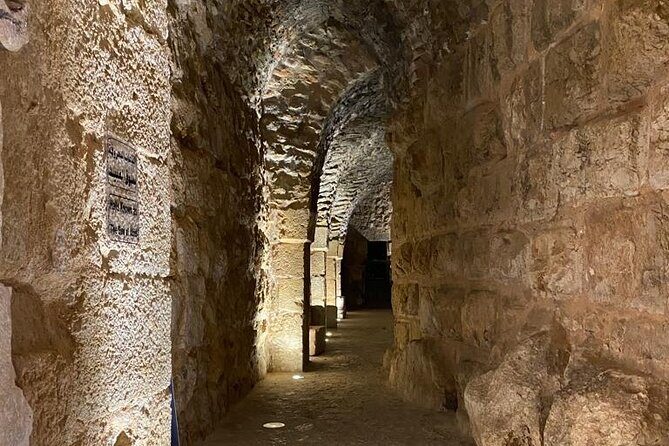 1 Day Tour to Amman Jerash and Ajloun castle - Transportation & Service Details