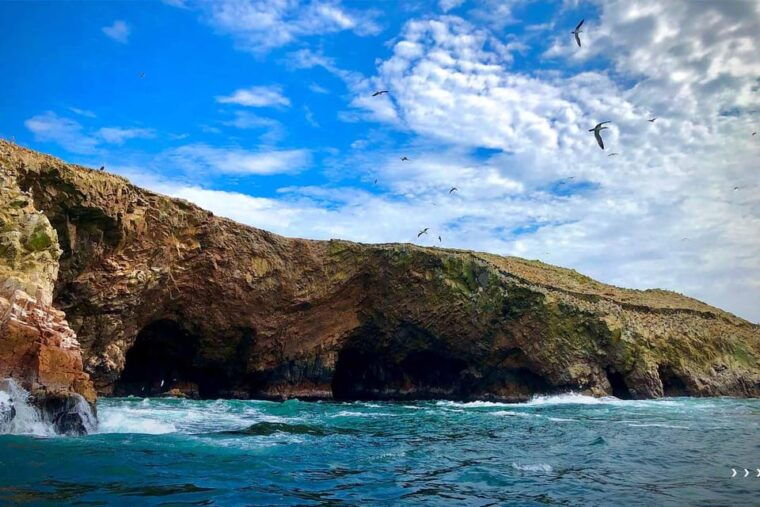 1-day-tour-to-ballestas-and-the-paracas-national-reserve