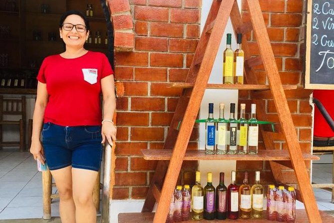 1-day-tour-to-huacachina-from-lima-dunebuggy-vineyards