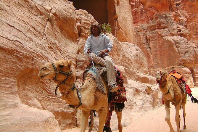 1 Day Tour to Petra From Sharm-el-Sheikh - Key Points