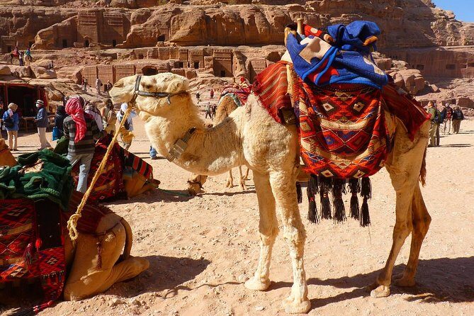 1 Day Tour to Petra From Sharm-el-Sheikh - Final Words