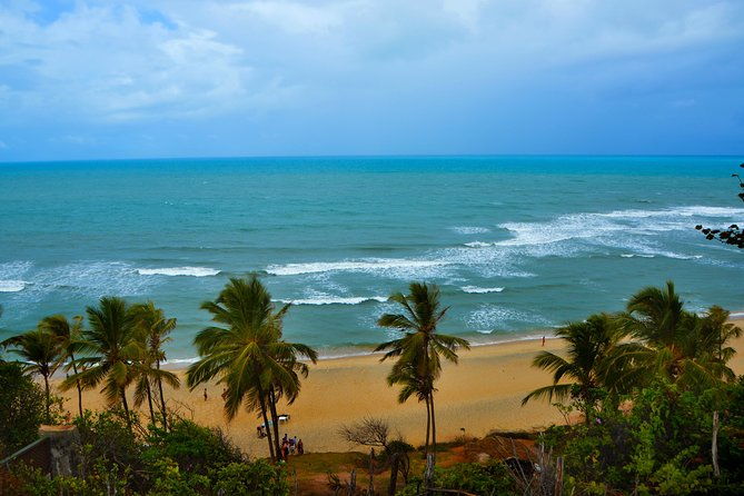 1-day-tour-to-pipa-beach-rn-departing-from-natal-rn
