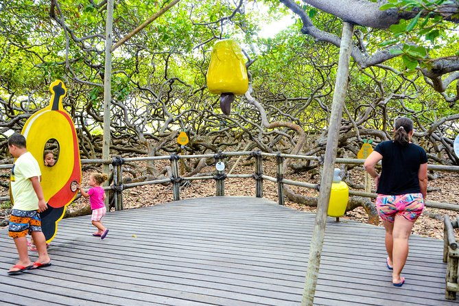 1-day-tour-to-the-south-coast-with-lagoa-rn-leaving-natal-rn