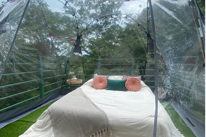 1-day-tree-climbing-and-rappelling-experience-with-accommodation