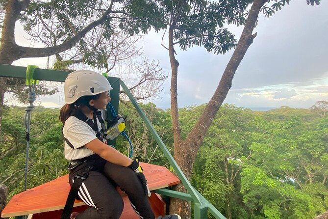 1-day-tree-climbing-and-rappelling-experience-with-accommodation
