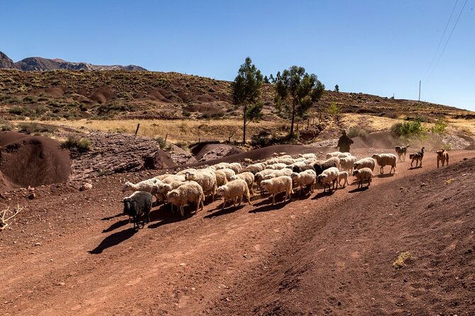1-day-trek-in-the-crater-of-maragua-and-inca-trails-in-sucre