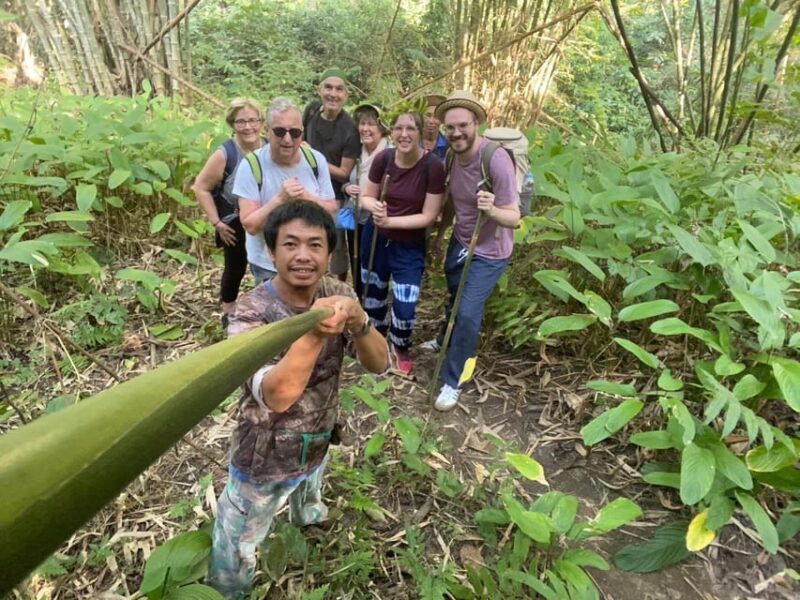 1 Day trekking : Chiang Rai popular activity,Fun in Nature. - Exploring Chiang Rai’s 1-Day Trekking Adventure: Authentic Nature and Cultural Encounters
