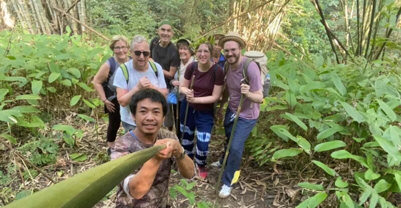 1 Day trekking : Chiang Rai popular activity,Fun in Nature. - Who Will Love This Experience?