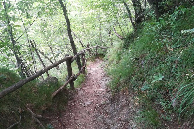 1 Day Trekking - Il Sentiero del Viandante: BELLANO. VARENNA - Authentic Insights from Reviewers