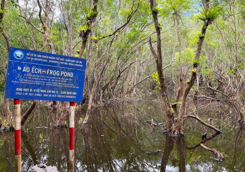 1-day-trekkingbiking-explore-cat-ba-national-park-viet-hai