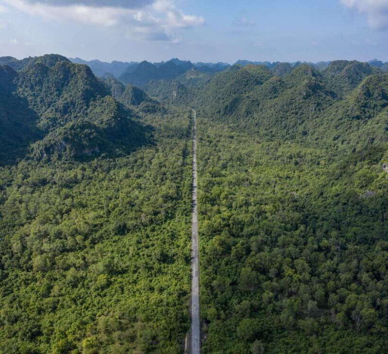 1-day-trekkingbiking-explore-cat-ba-national-park-viet-hai