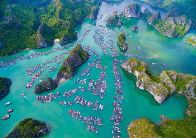 1-day-trekkingbiking-explore-cat-ba-national-park-viet-hai