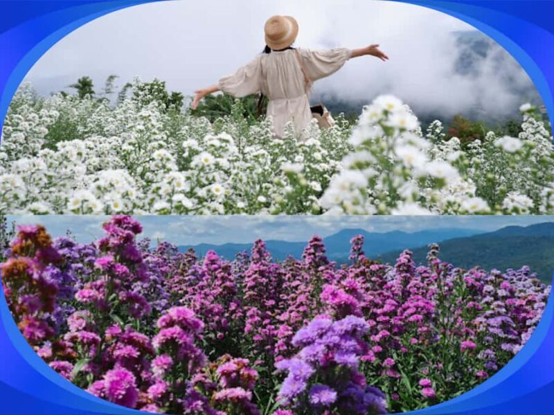 1-Day Trip: Chiang Mai to Mon Jam Adventure. - Value for Money