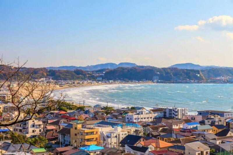 1-Day trip: Kamakura City (Enoshima/Shonan/Beach) - Why Choose a Private, Customizable Kamakura Tour?
