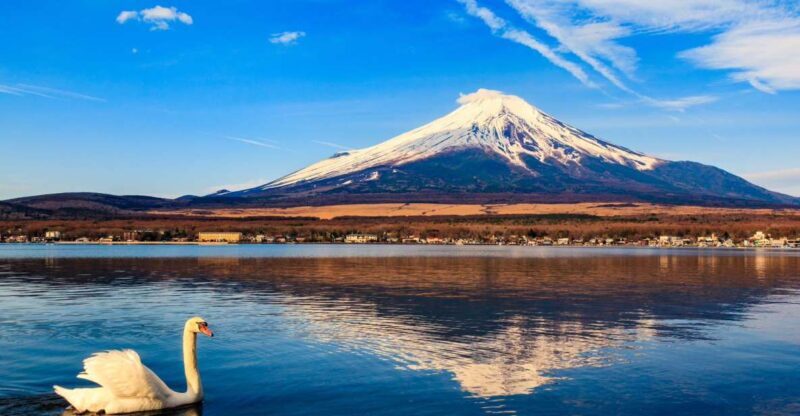 1-Day trip: Mt Fuji + Kawaguchi Lake area - What’s Included and What’s Not?