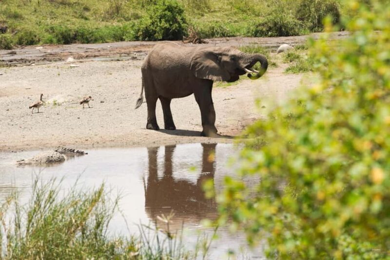 1 Day Trip Tarangire National Park - Entering Tarangire: First Impressions and Landscape  