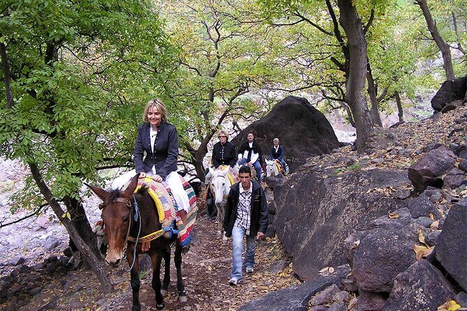 1 Day Trip to Berber Villages & Toubkal Valley in Atlas Mountains - FAQ