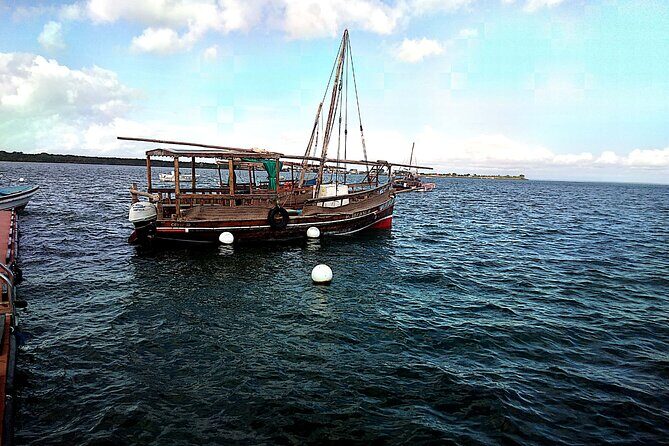 1 day trip to Funzi island - An In-Depth Look at the Funzi Island Day Trip