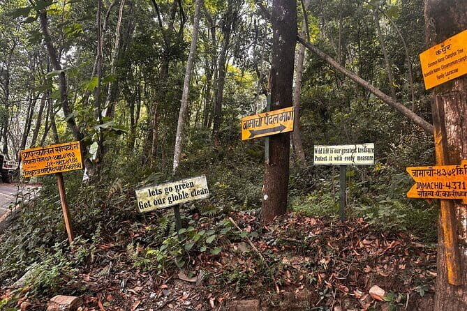 1-Day Trip to Kathmandu Hiking - Jamacho Hill 5-6 hrs. - The Sum Up