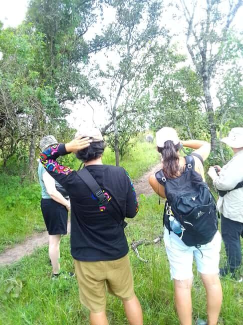 1 day trip to Ziwa Rhino sanctuary - Practical Tips & Considerations