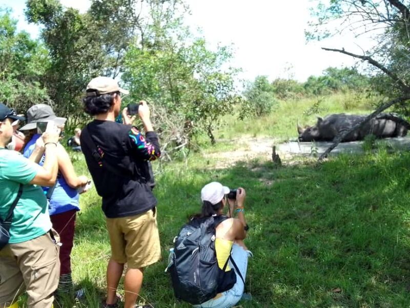 1 day trip to Ziwa Rhino sanctuary - The Sum Up