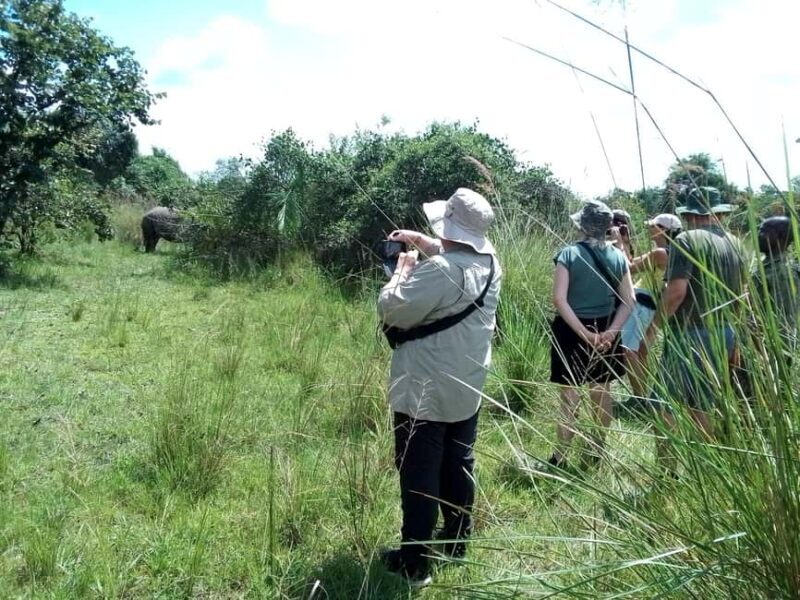 1 day trip to Ziwa Rhino sanctuary - Frequently Asked Questions