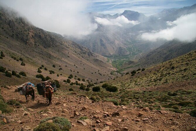 1-Day tripTour from Marrakech to Imlil in Atlas Mountains - A Closer Look at the Itinerary