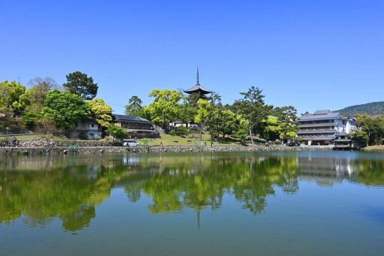 1-day-walking-tour-in-nara-palace-deer-and-inkstick